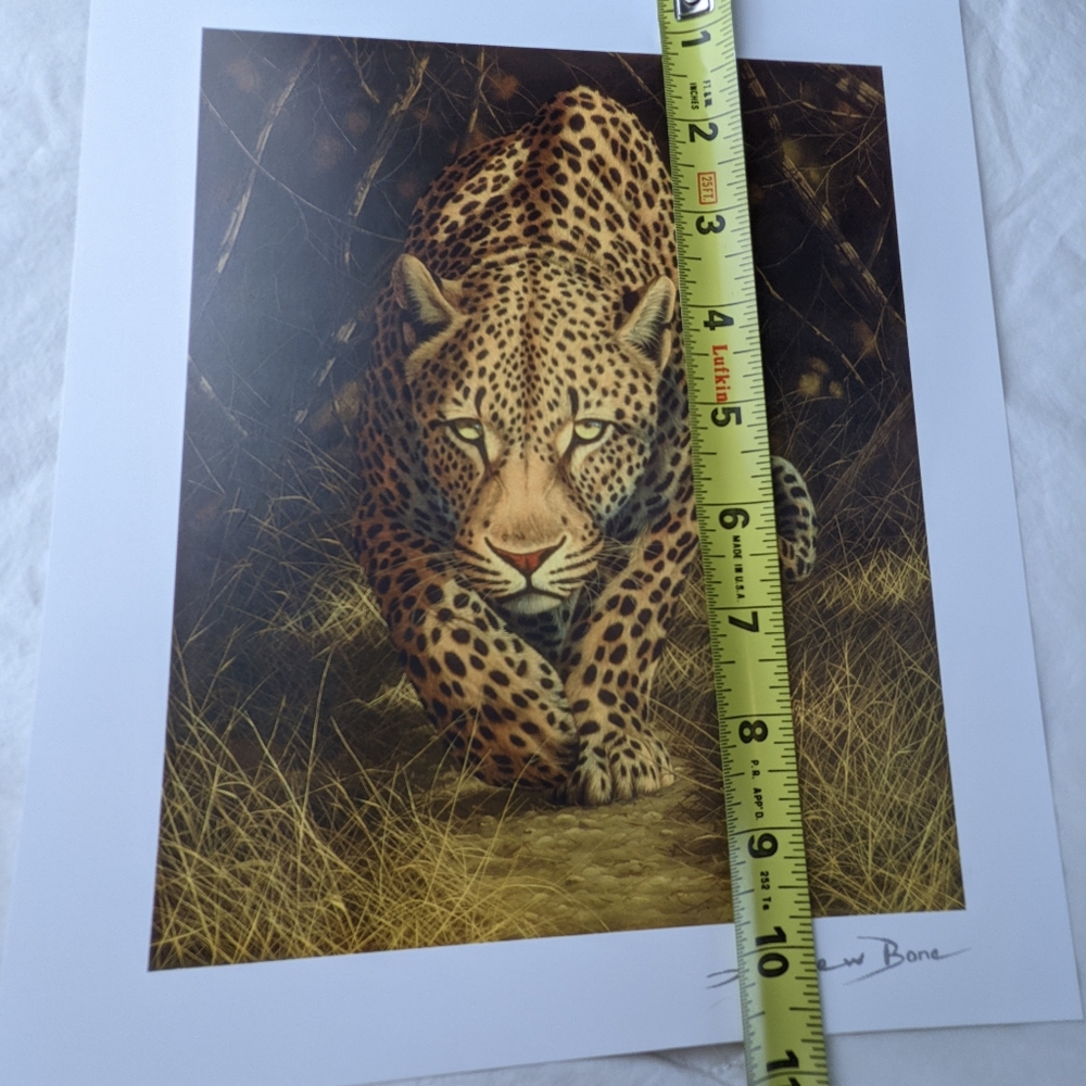 Andrew Bone NWOT African Mystique leopard art print brown black signed - Picture 8 of 9